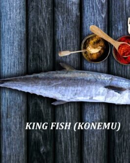 king fish