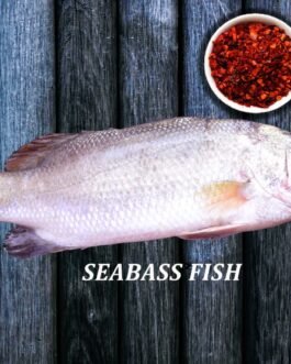 seabass